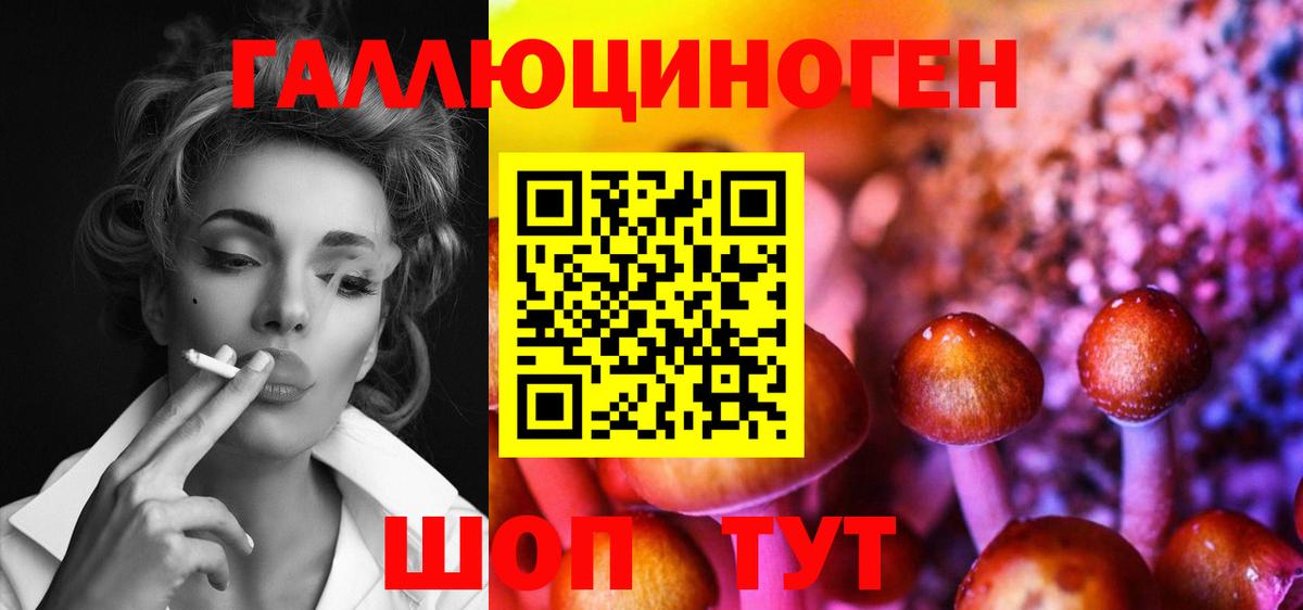 Псилоцибиновые грибы ЛСД  Вход с VPN  Мценск  Псилоцибиновые грибы MAGIC MUSHROOMS 
